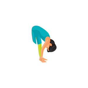 women performing Hasta Padasana (Hand to Foot Pose) step 10 of Surya Namaskar