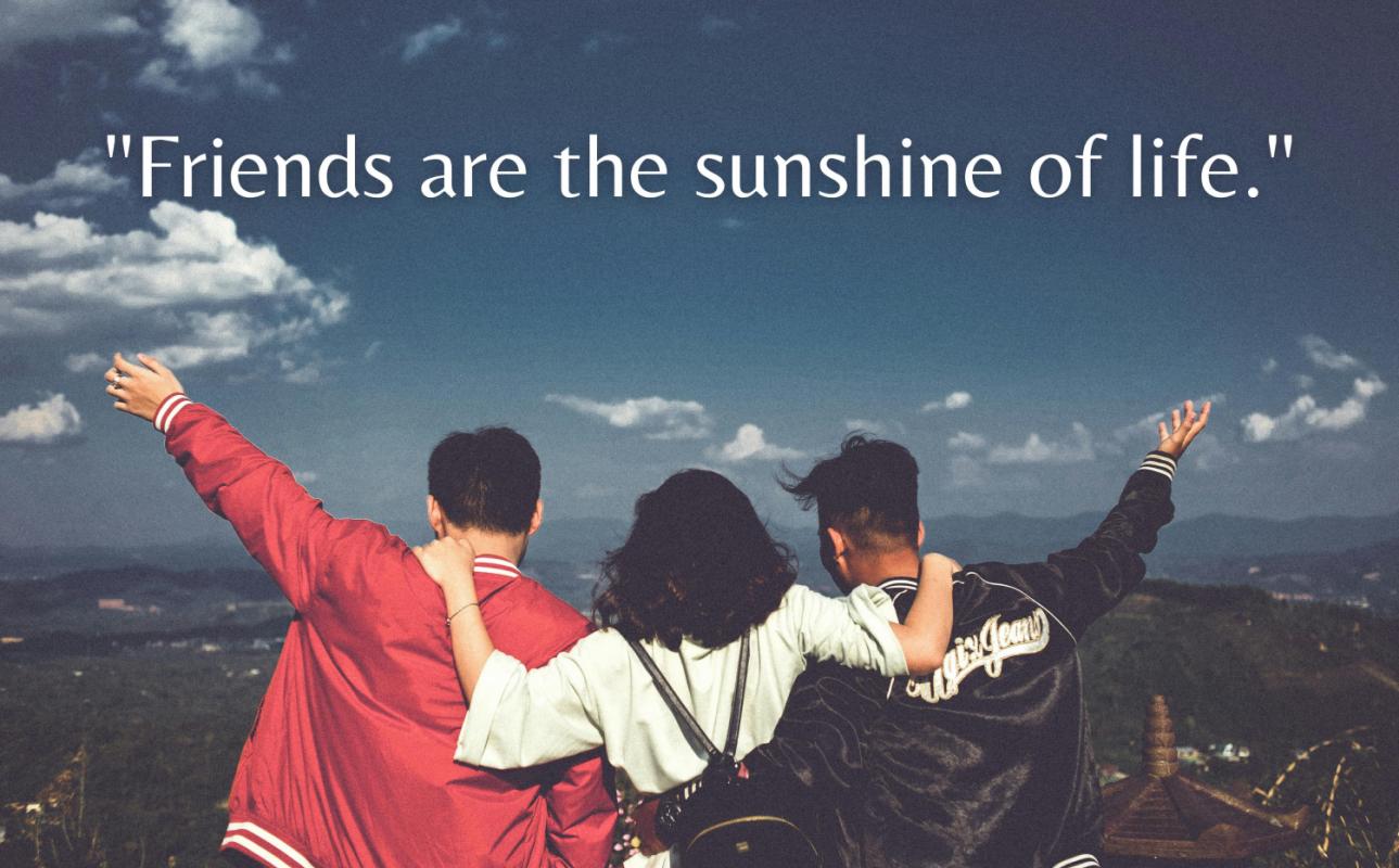 Read more about the article Best Friendship Quotes to Celebrate Your Bond with BFF