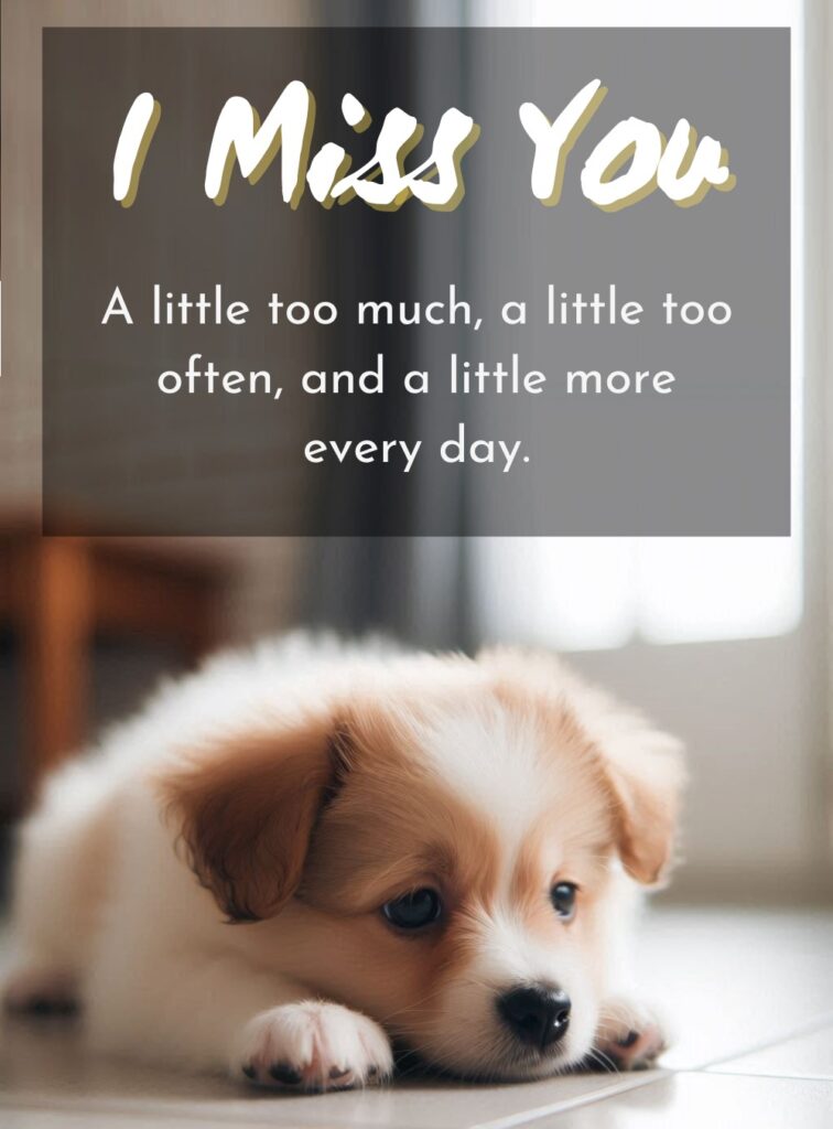 i miss you quote