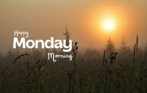 Read more about the article Top Monday Inspirational Quotes To Kickstart Your Week