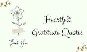 Heartfelt Gratitude Quotes to Inspire Thankfulness Every Day